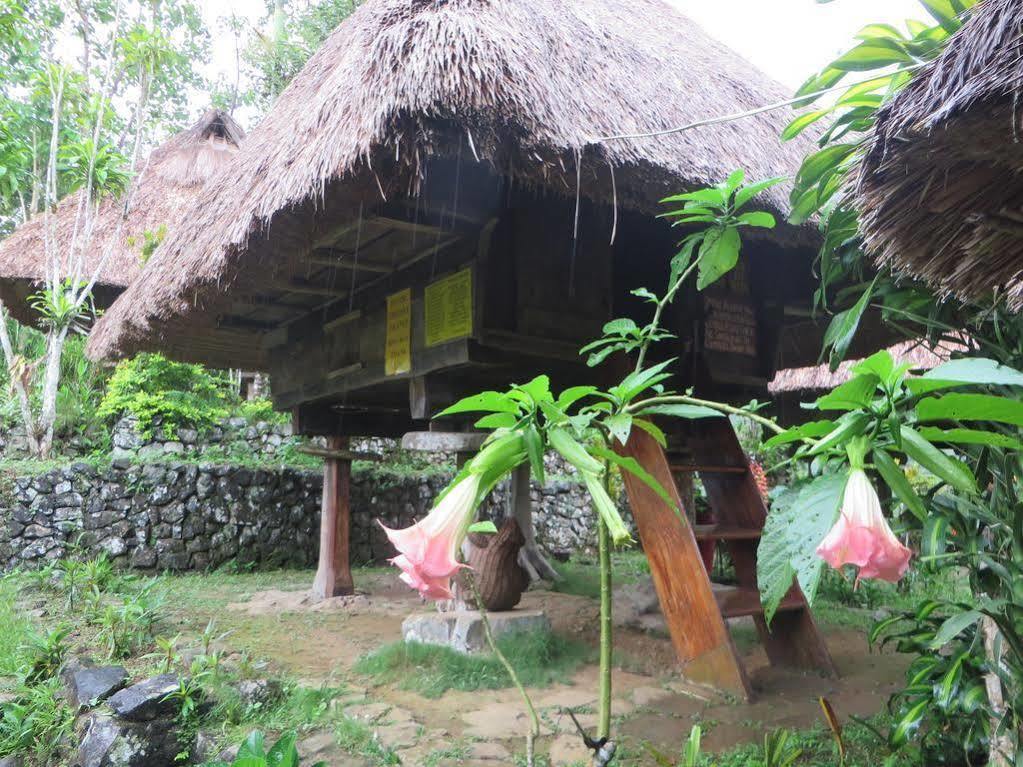 Native Village Inn Banaue Bagian luar foto